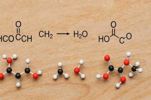 HCOOCH CH₂ H₂O: 7 Powerful Reasons It Matters in Chemistry